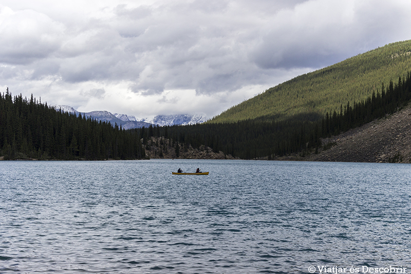 Quan passegem pel costat del Moraine Lake, veiem molta gent amb canoa.