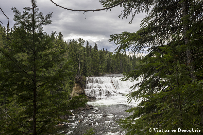 Les Dawson Falls són unes cascades de 20 metres d’alçada i 60 d’amplada. Quanta aigua!