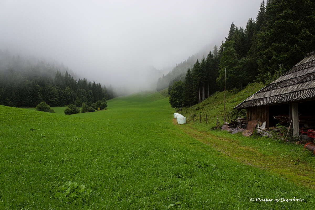 boira i granja a la topla valley al nord d'eslovenia