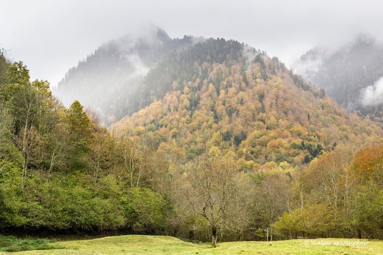 el valle de toran dentro del valle de aran entre la niebla de otoño